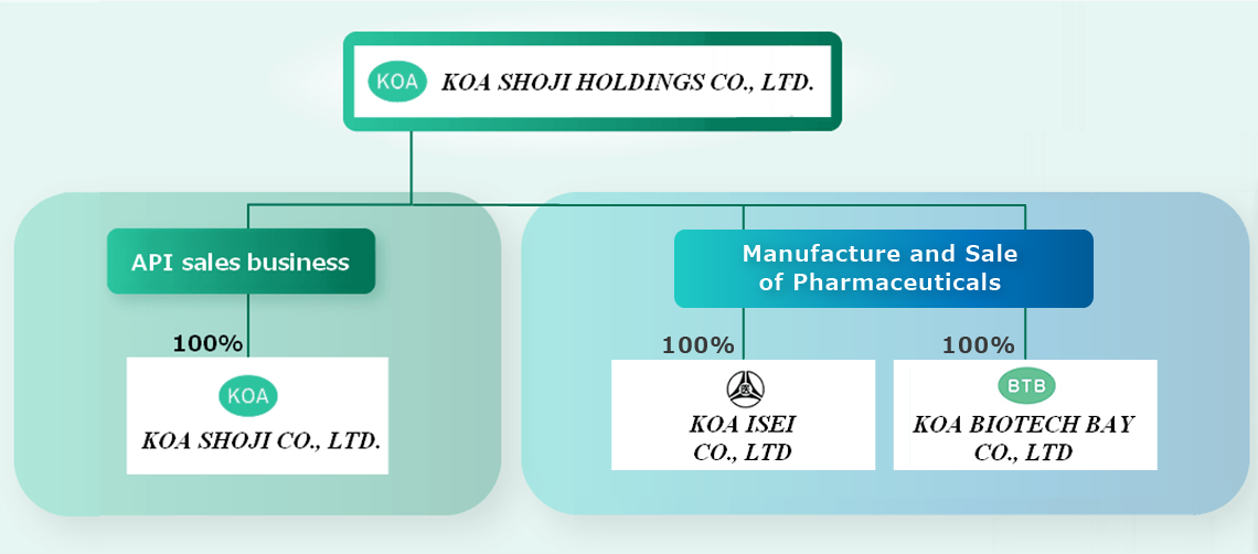 Holdings Group structure