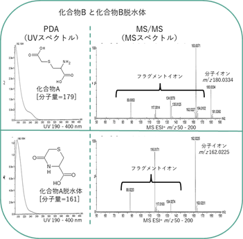 化合物Bと化合物B脱水体